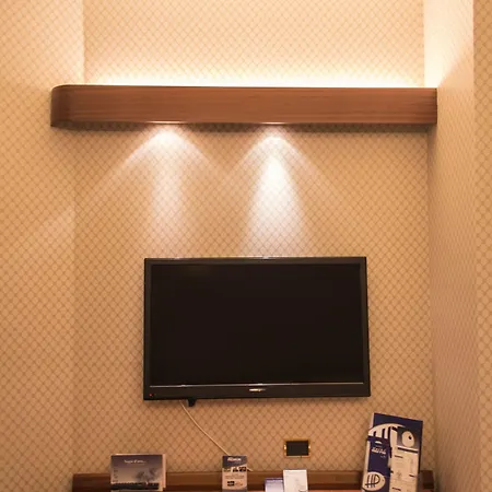 酒店 菠萝酒店 里米尼