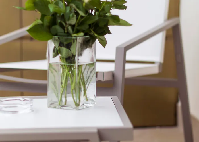 بولو 4* ريميني